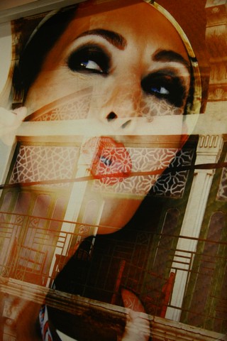 Looking for the Next Sophia exhibition